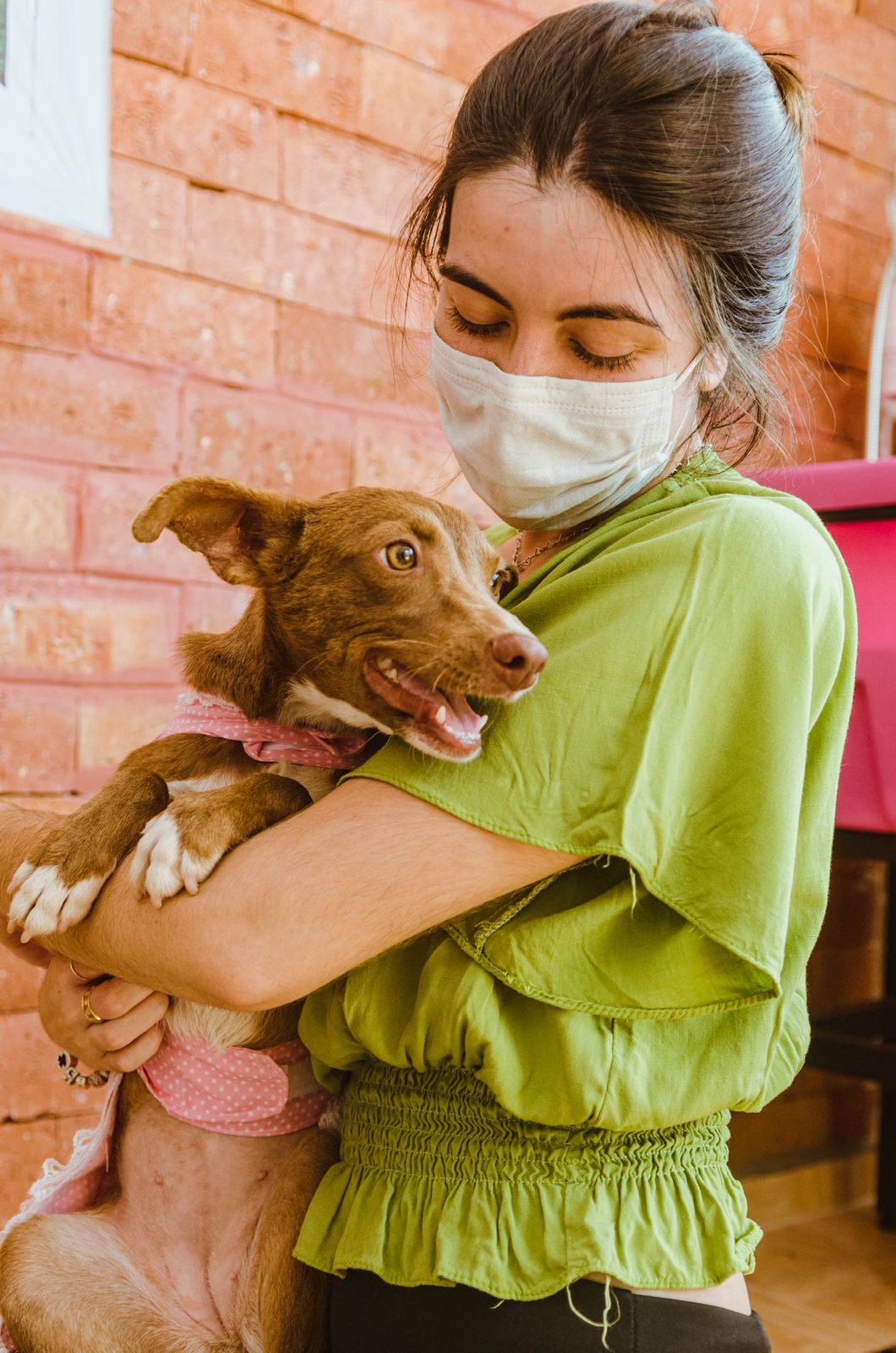 Voluntários cuidando de um cachorro resgatado